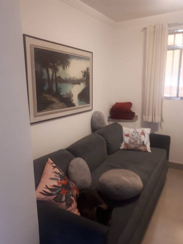 Casa, 4 quartos, 300 m² - Foto 23
