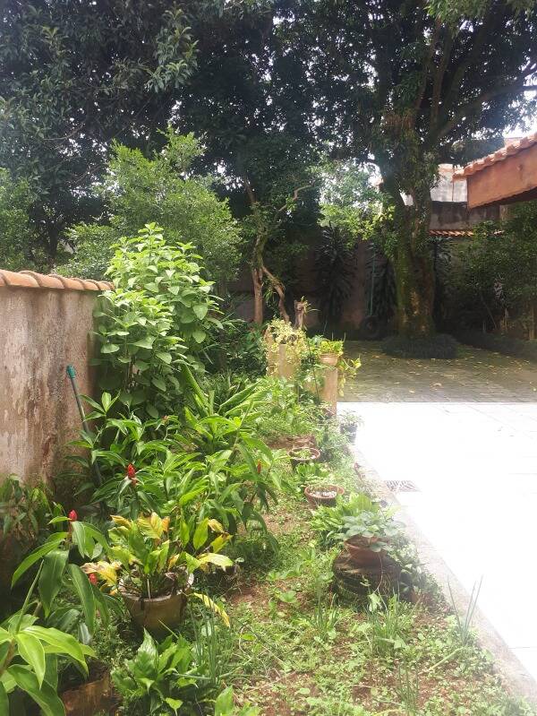Casa, 4 quartos, 300 m² - Foto 33