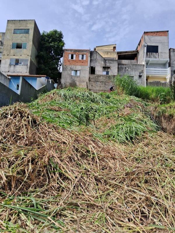 Terreno, 300 m² - Foto 6