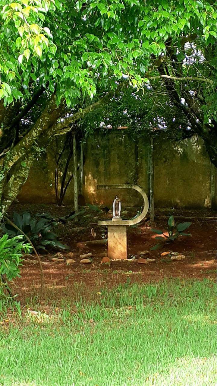 Chácara, 4 quartos, 4 hectares - Foto 12