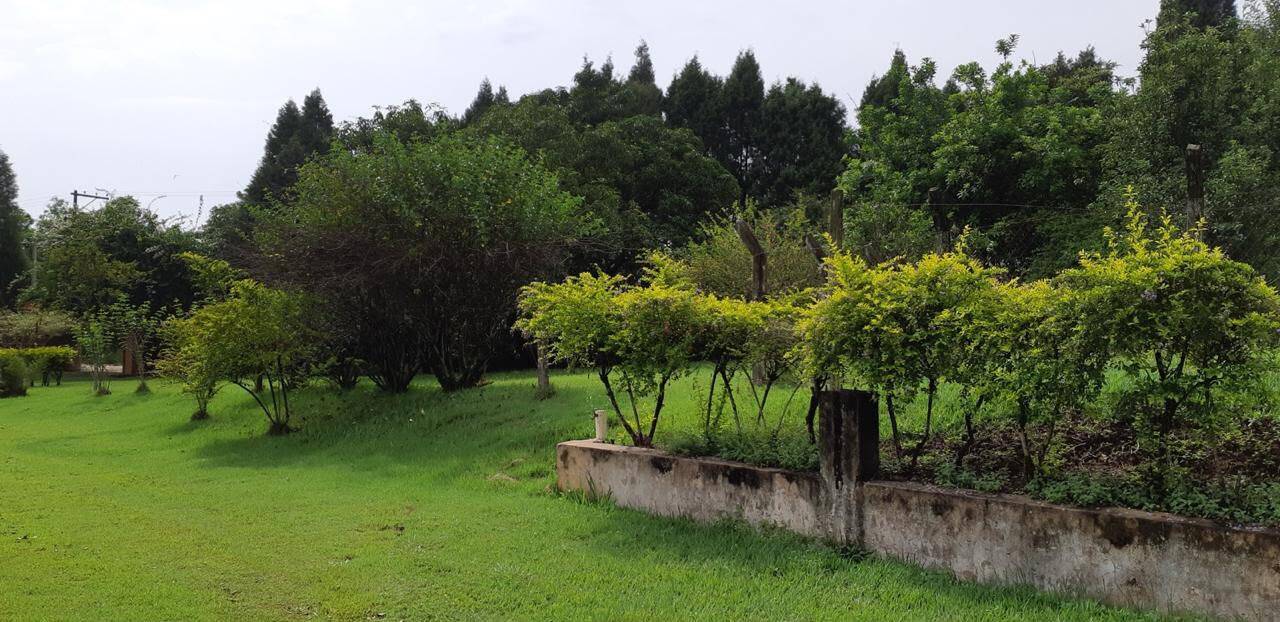 Chácara, 4 quartos, 4 hectares - Foto 30