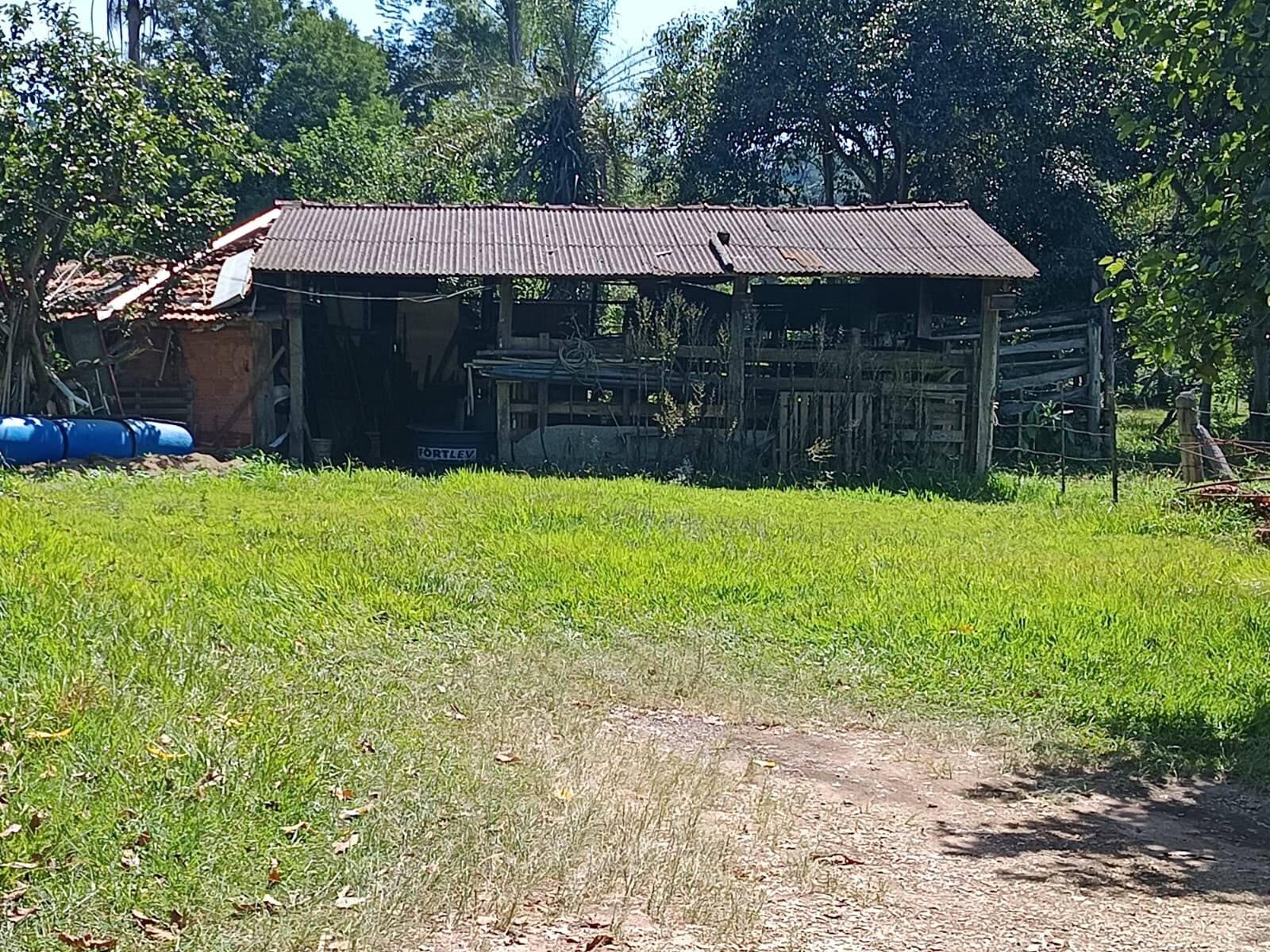 Chácara, 4 quartos, 4 hectares - Foto 29