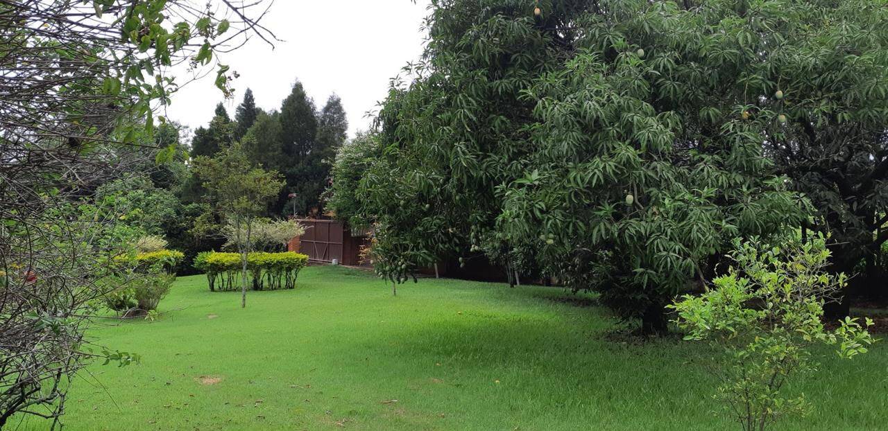 Chácara, 4 quartos, 4 hectares - Foto 31