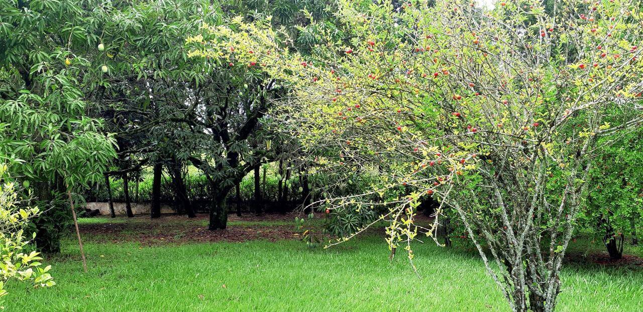 Chácara, 4 quartos, 4 hectares - Foto 32