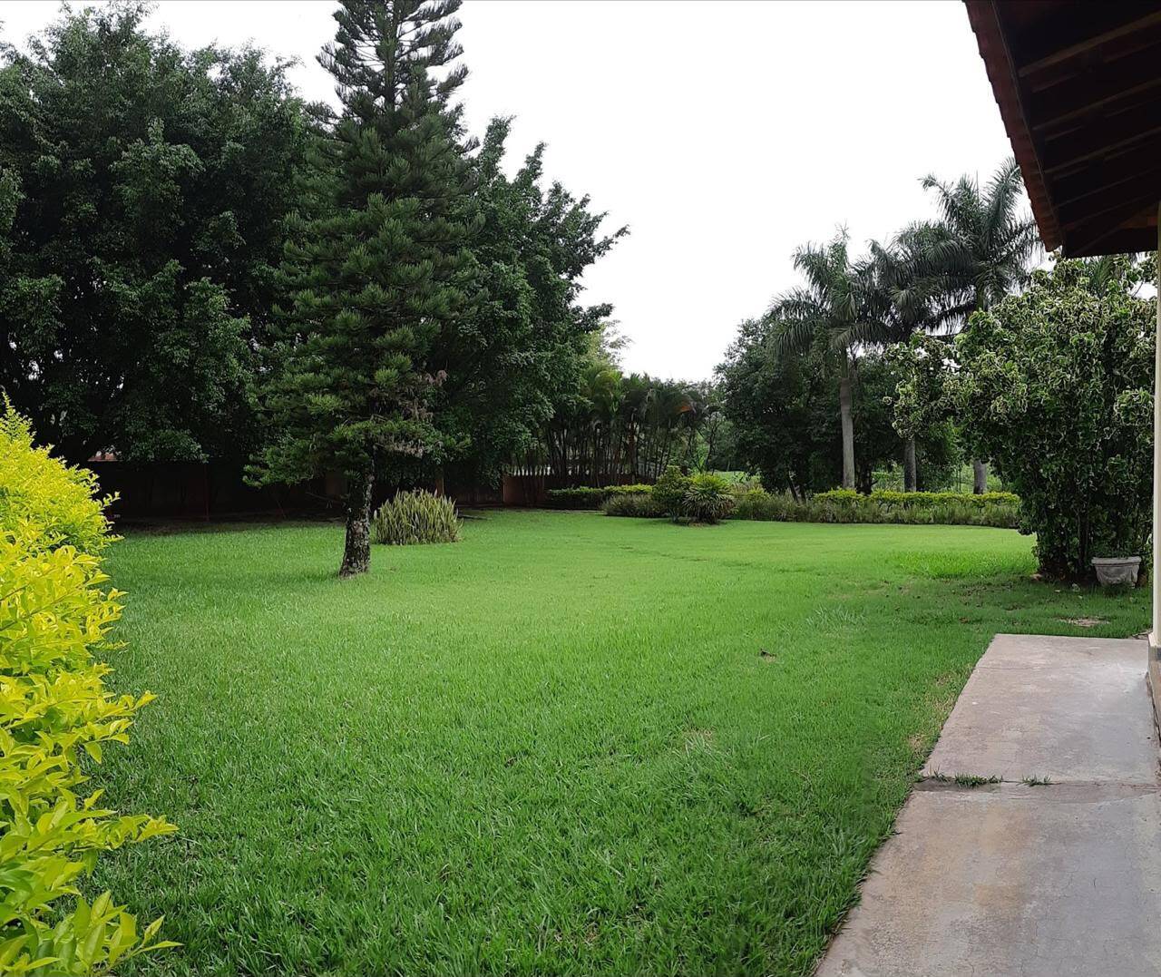 Chácara, 4 quartos, 4 hectares - Foto 46