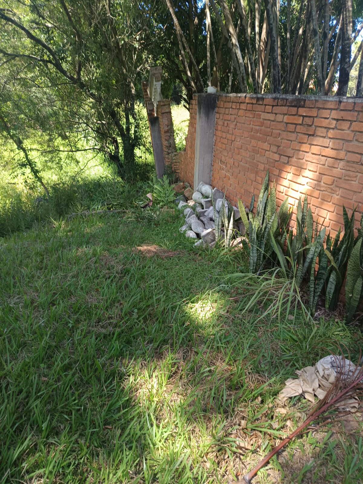 Chácara, 4 quartos, 4 hectares - Foto 53