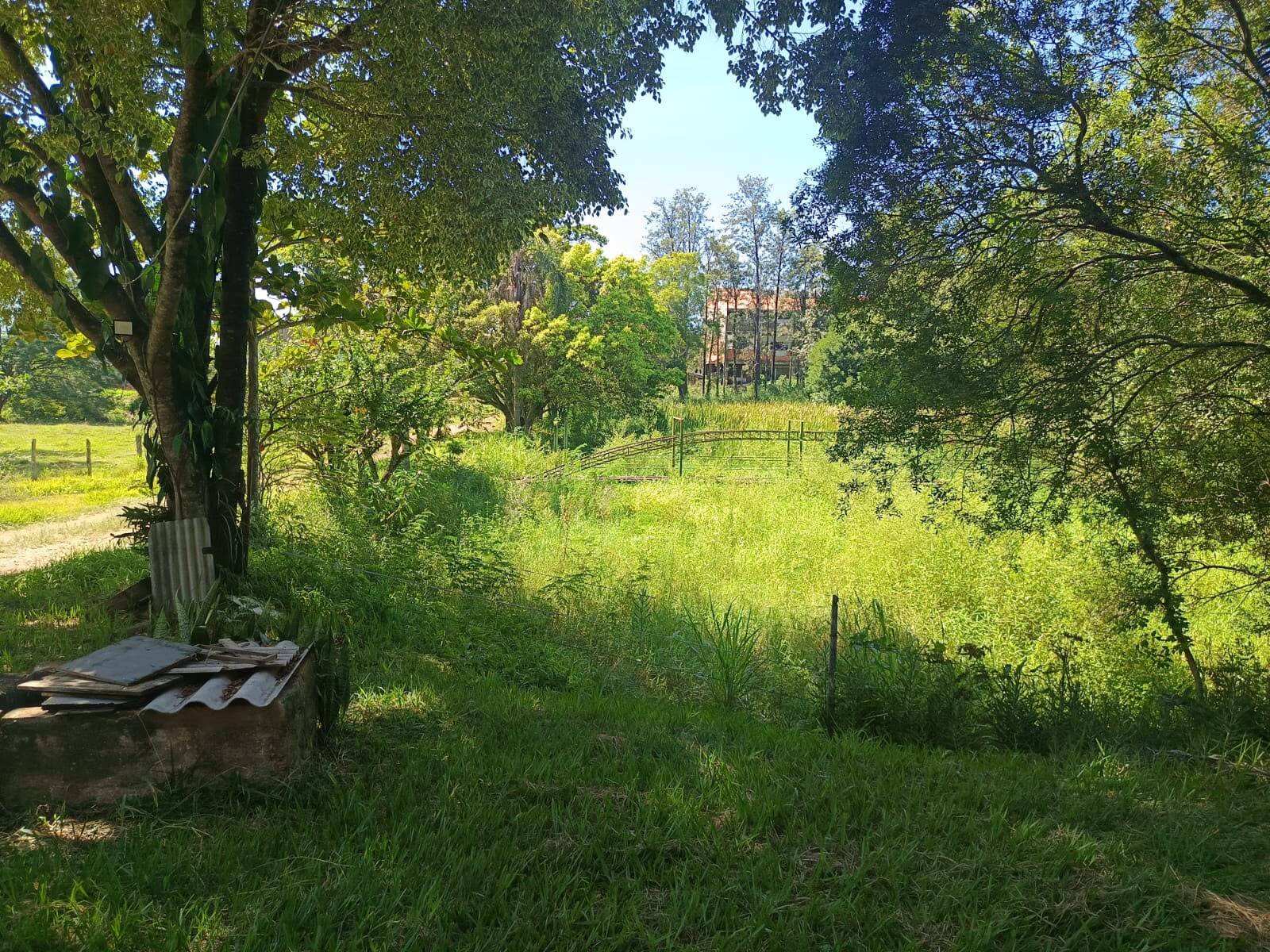 Chácara, 4 quartos, 4 hectares - Foto 58