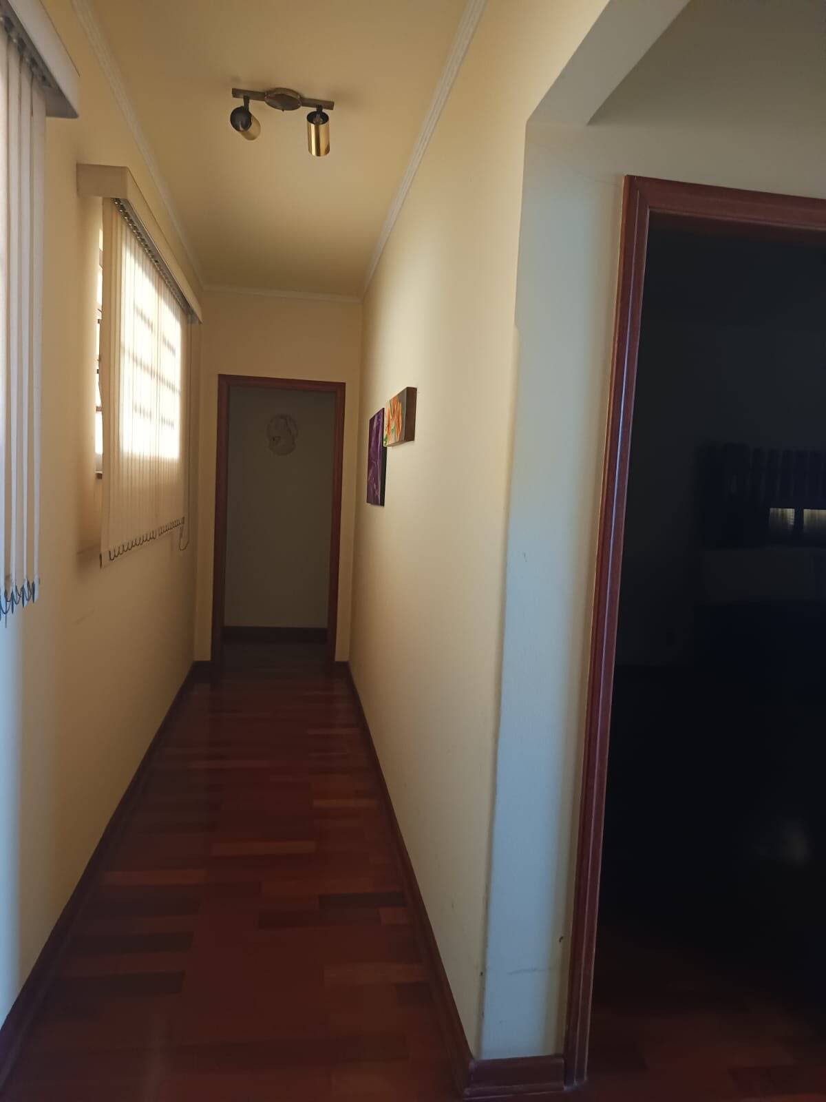 Chácara, 4 quartos, 4 hectares - Foto 70
