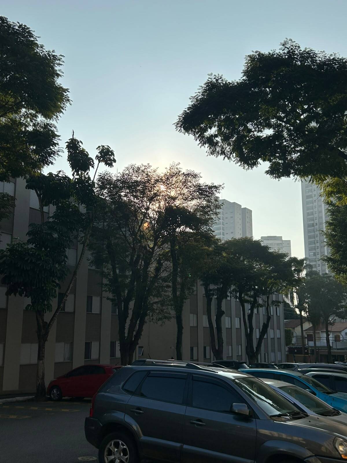 Apartamento, 3 quartos, 70 m² - Foto 13