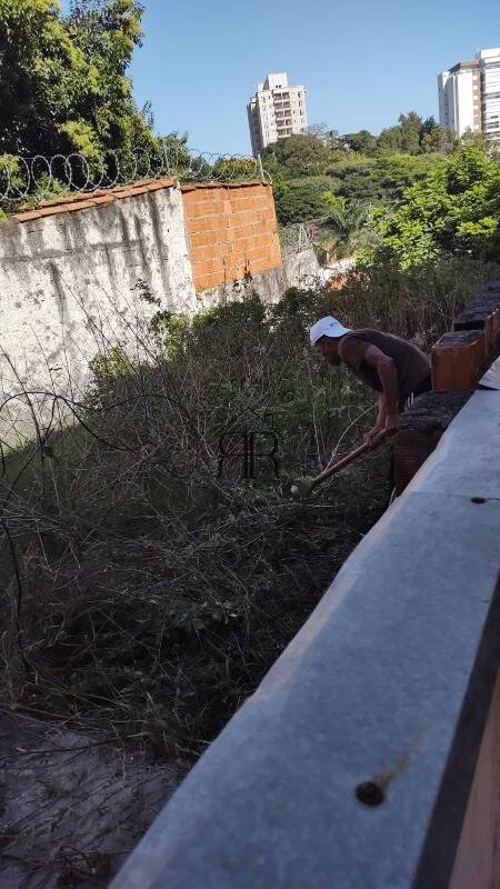 Terreno, 250 m² - Foto 9