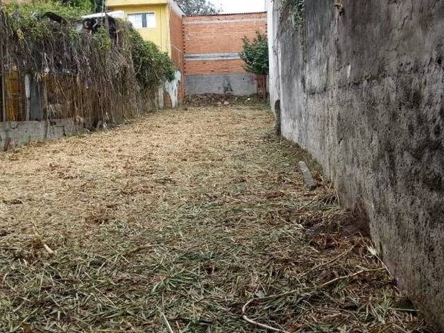 #TE97555 - Terreno para Venda em São Paulo - SP - 1