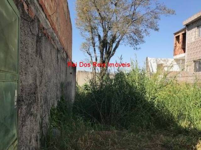 #TE97559 - Terreno para Venda em São Paulo - SP - 1