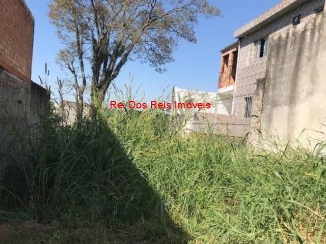 #TE97559 - Terreno para Venda em São Paulo - SP - 2