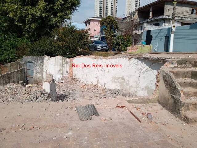 Terreno para Venda em São Paulo - 5