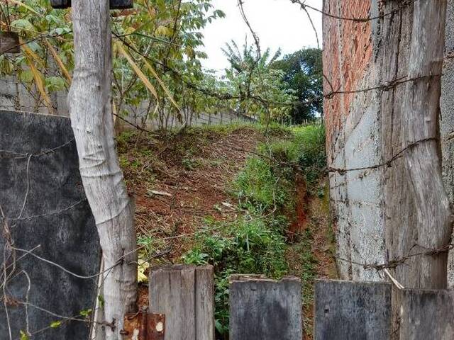 #TE97528 - Terreno para Venda em São Paulo - SP - 3