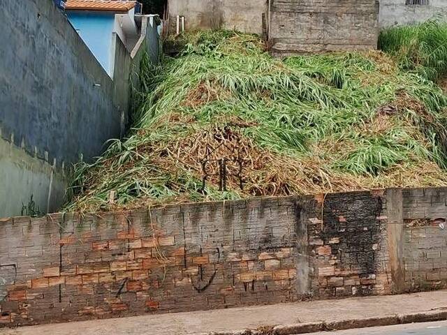 #TE97580 - Terreno para Venda em São Paulo - SP - 2