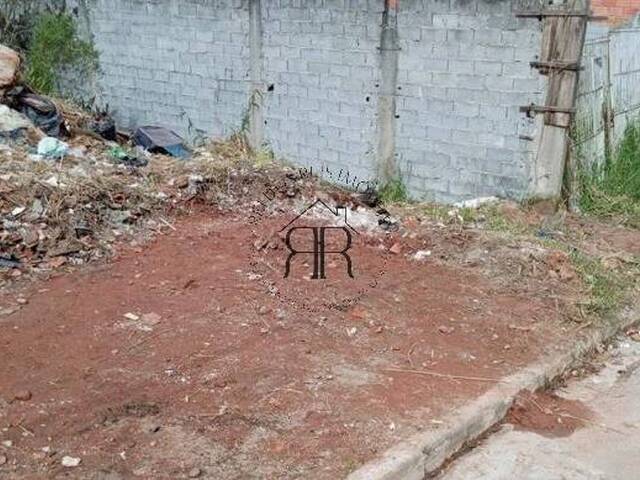 #TE97572 - Terreno para Venda em São Paulo - SP - 2