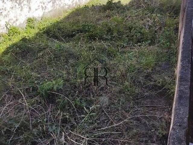 #TE97582 - Terreno para Venda em São Paulo - SP - 3