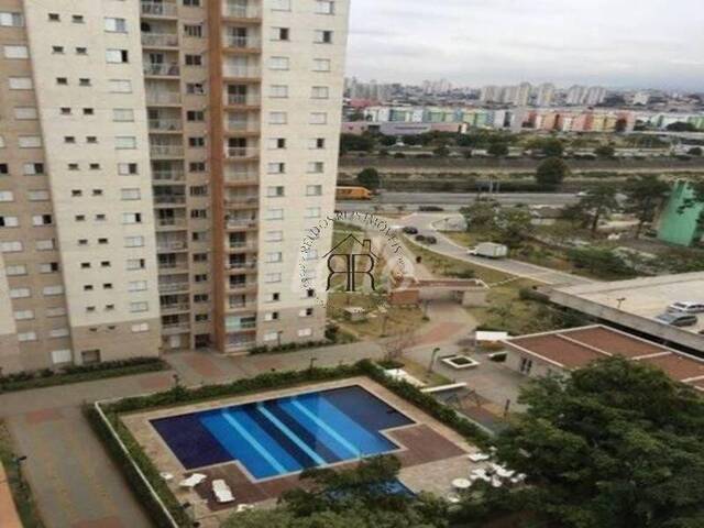 #AP98974 - Apartamento para Venda em São Paulo - SP - 3